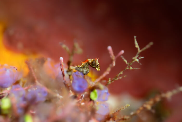 Wait, They Actually Picked These Ocean Photos?!