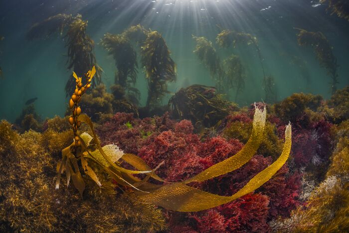 Wait, They Actually Picked These Ocean Photos?!