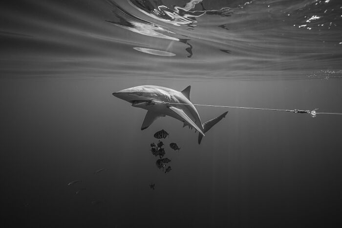 Wait, They Actually Picked These Ocean Photos?!