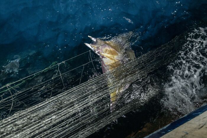 Wait, They Actually Picked These Ocean Photos?!