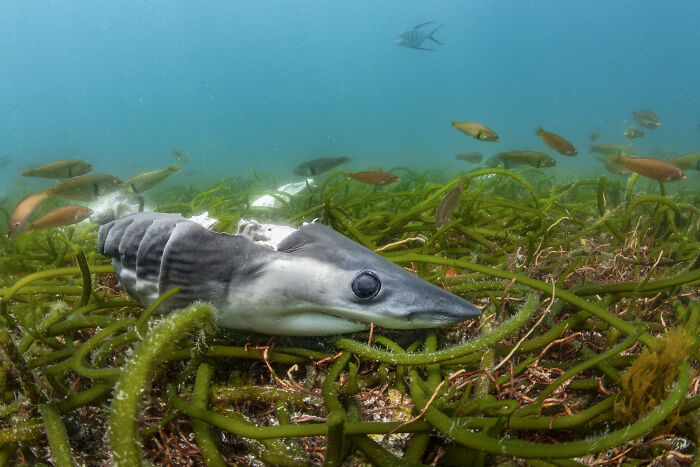 Wait, They Actually Picked These Ocean Photos?!