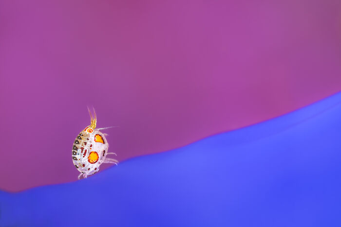 Wait, They Actually Picked These Ocean Photos?!
