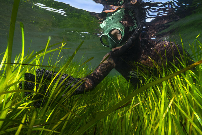 Wait, They Actually Picked These Ocean Photos?!