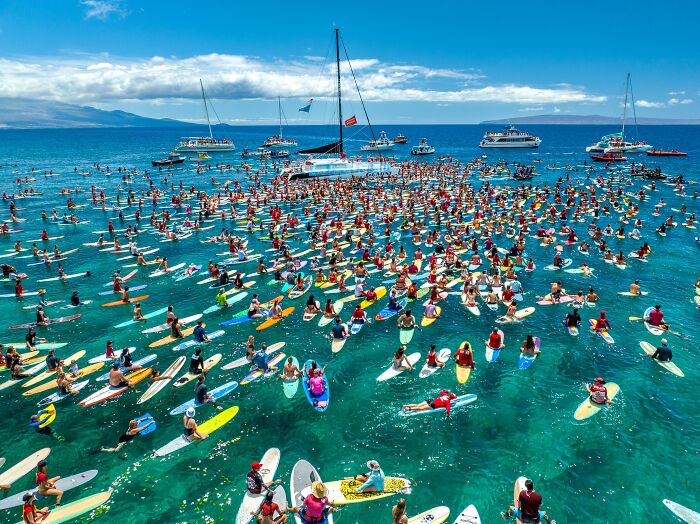 Wait, They Actually Picked These Ocean Photos?!