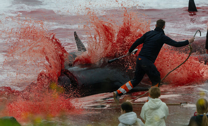 Wait, They Actually Picked These Ocean Photos?!