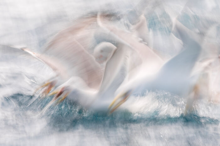 Wait, They Actually Picked These Ocean Photos?!