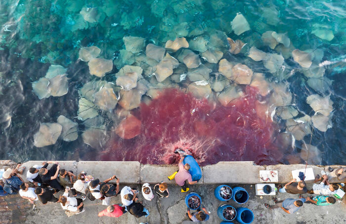 Wait, They Actually Picked These Ocean Photos?!