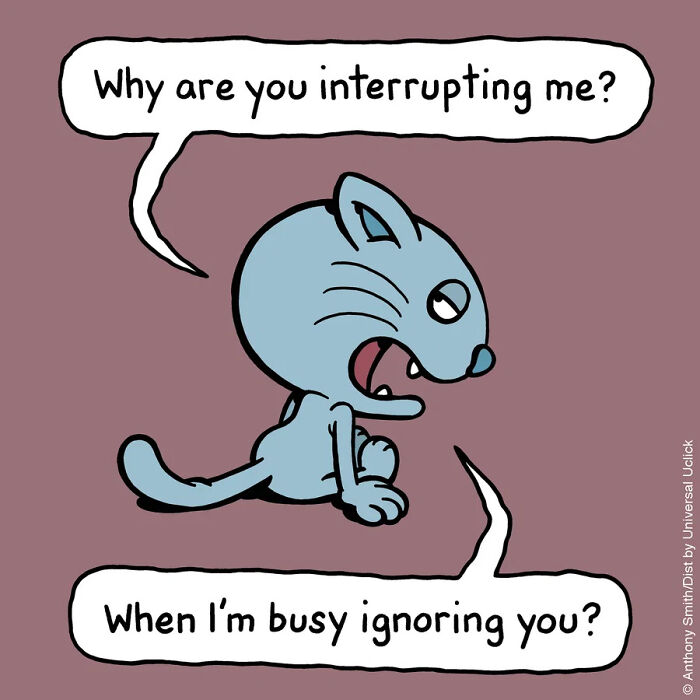 Cats Will Do What They Want: 30 Hilarious ‘Cattitude’ Comics That Nail Cat Logic