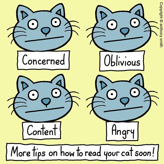 Cats Will Do What They Want: 30 Hilarious ‘Cattitude’ Comics That Nail Cat Logic