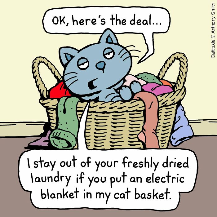 Cats Will Do What They Want: 30 Hilarious ‘Cattitude’ Comics That Nail Cat Logic