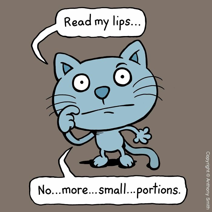 Cats Will Do What They Want: 30 Hilarious ‘Cattitude’ Comics That Nail Cat Logic