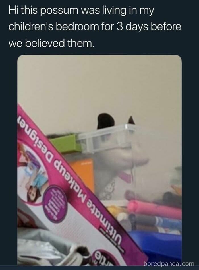 Kids Say The Craziest Stuff
