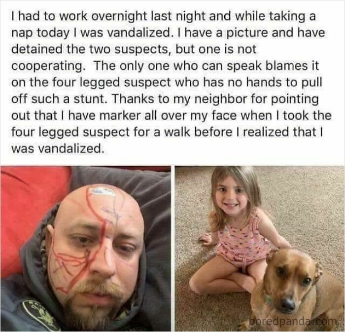 Blaming The Dog? Yeah, We’ve Been There