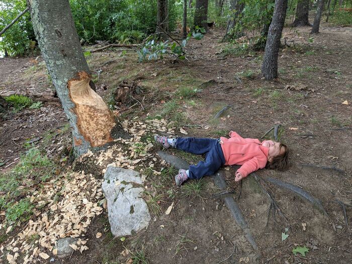Wait, Kids Did WHAT?! 68 Pics That’ll Totally Crack You Up (And Make You Go Huh?)