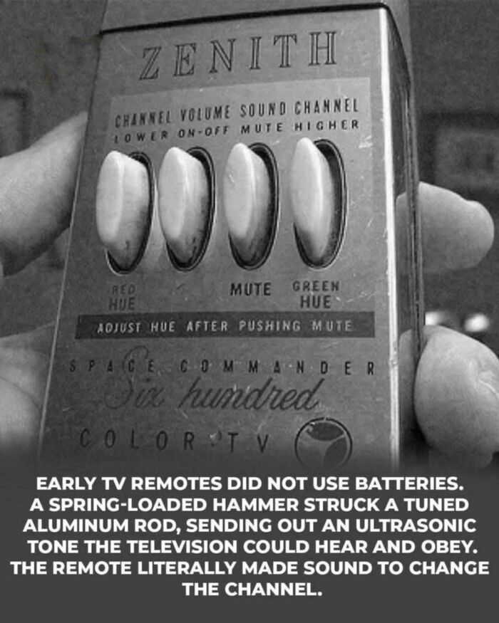 83 Jaw-Dropping Historical Snaps That School Never Told You About