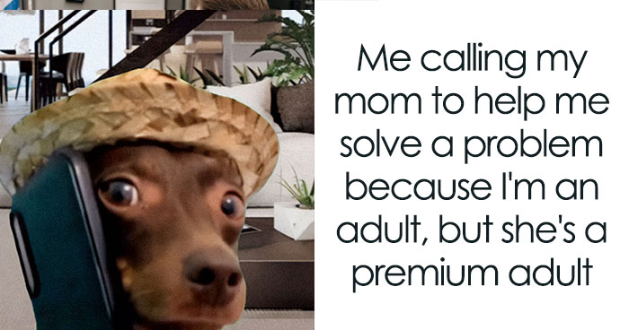 Adulting Is a Mess: 74 Memes That Nail the Struggle