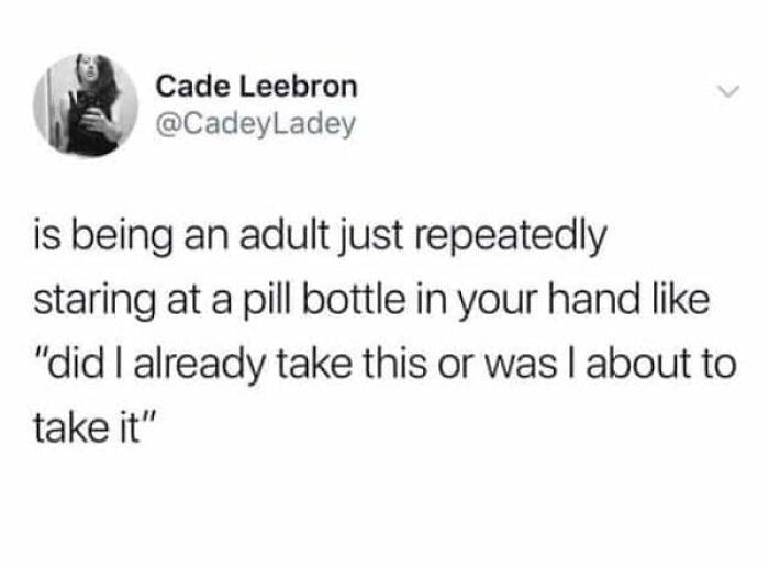 Adulting Is a Mess: 74 Memes That Nail the Struggle