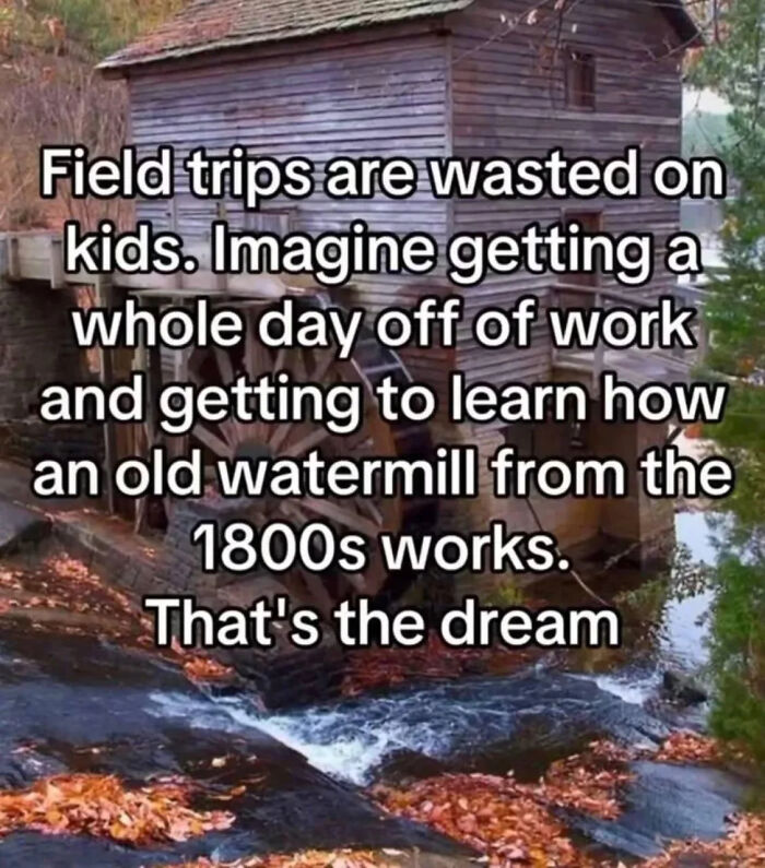 Adulting Is a Mess: 74 Memes That Nail the Struggle