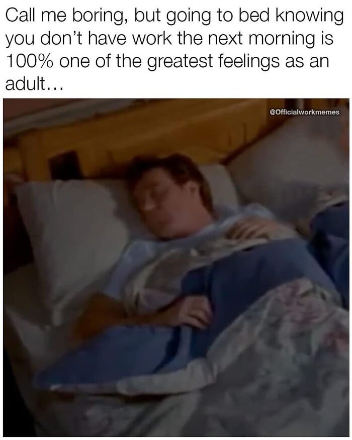 Adulting Is a Mess: 74 Memes That Nail the Struggle