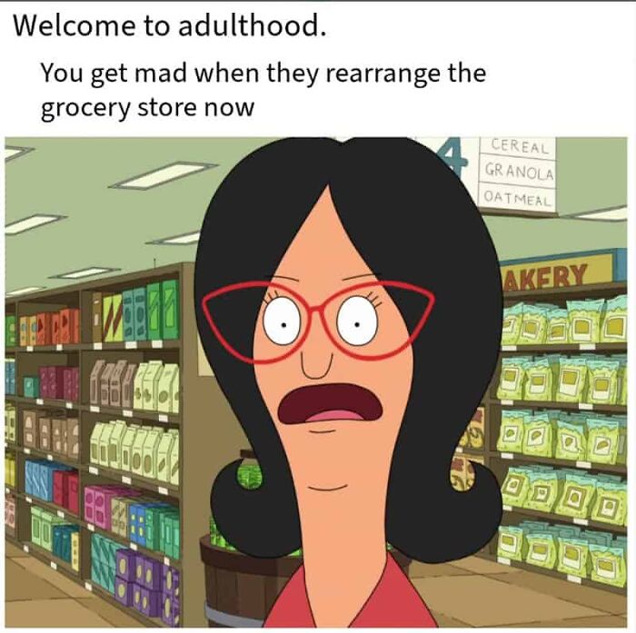 Adulting Is a Mess: 74 Memes That Nail the Struggle