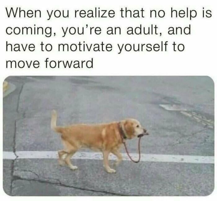 Adulting Is a Mess: 74 Memes That Nail the Struggle