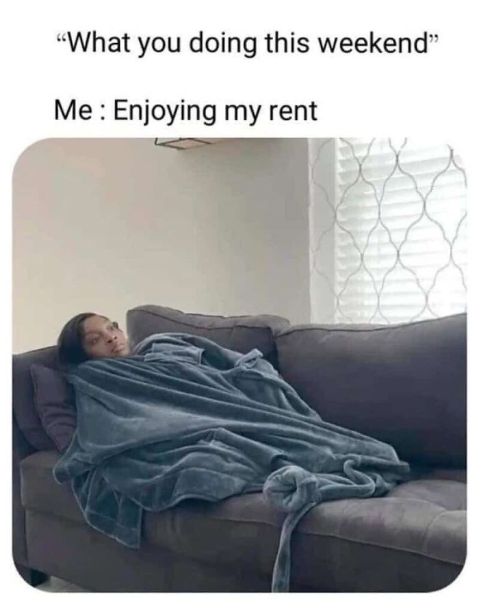 Adulting Is a Mess: 74 Memes That Nail the Struggle