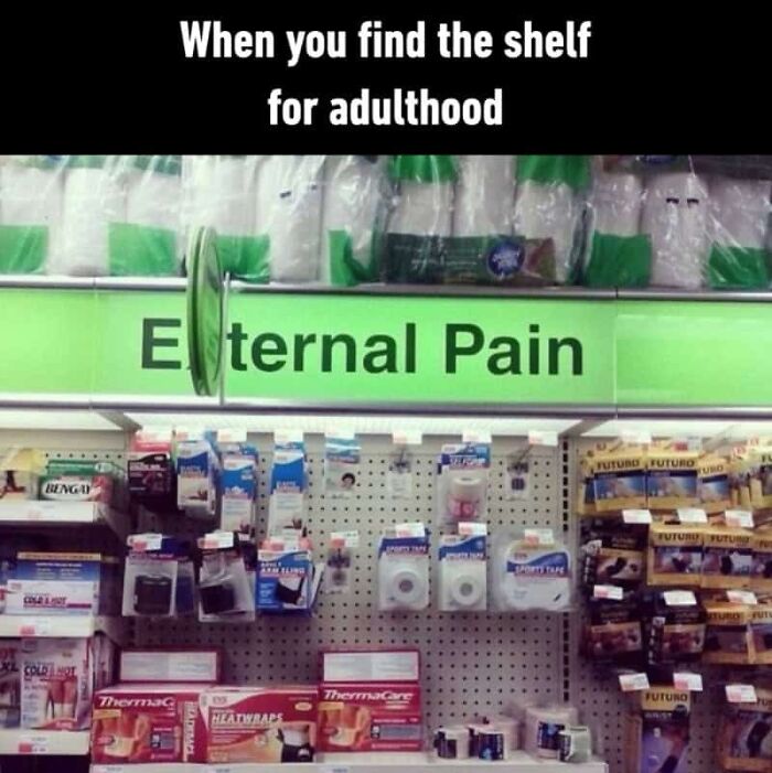 Adulting Is a Mess: 74 Memes That Nail the Struggle