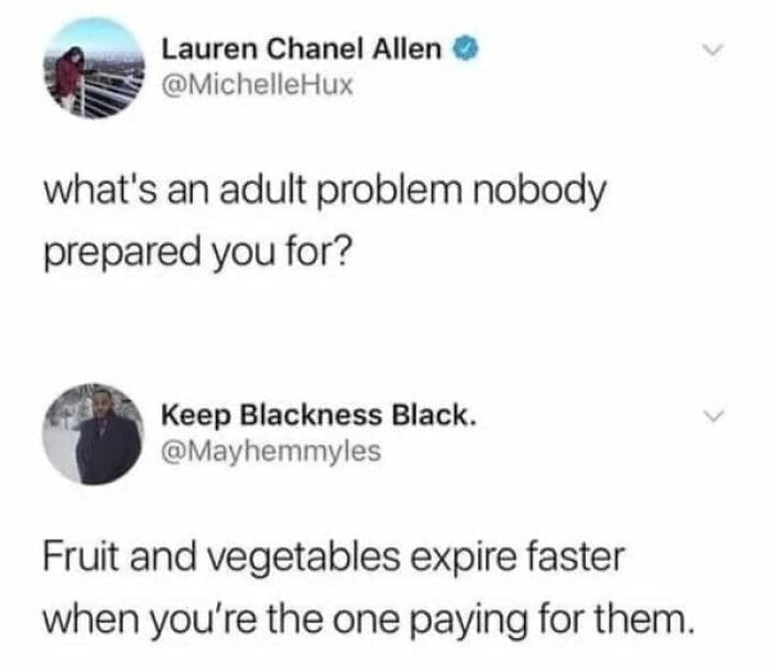 Adulting Is a Mess: 74 Memes That Nail the Struggle