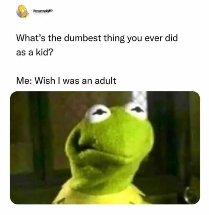 Adulting Is a Mess: 74 Memes That Nail the Struggle