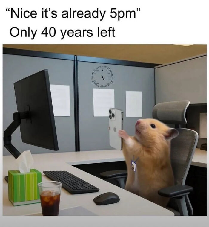 Adulting Is a Mess: 74 Memes That Nail the Struggle