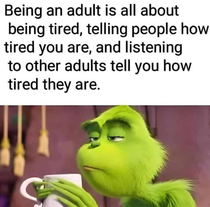 Adulting Is a Mess: 74 Memes That Nail the Struggle