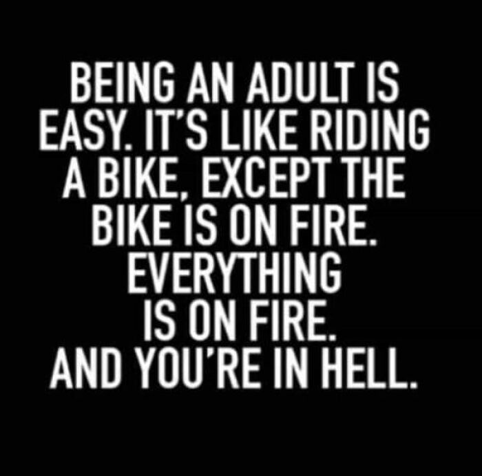 Adulting Is a Mess: 74 Memes That Nail the Struggle
