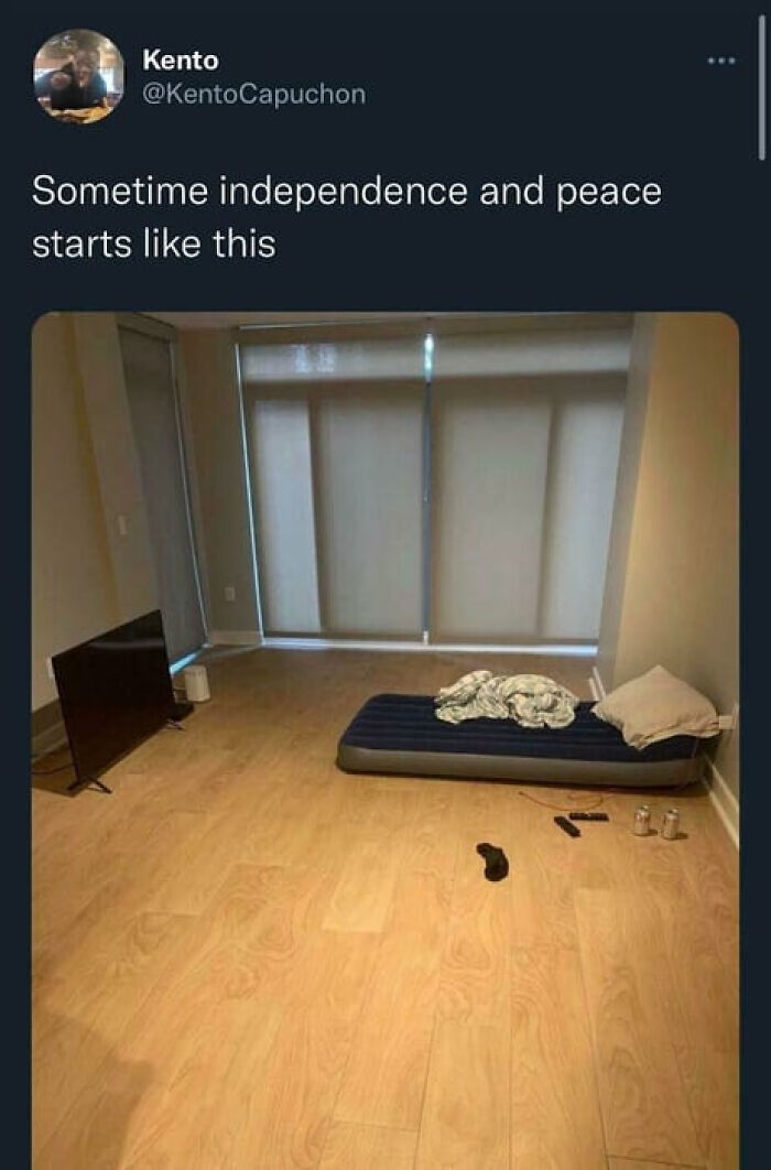 Adulting Is a Mess: 74 Memes That Nail the Struggle