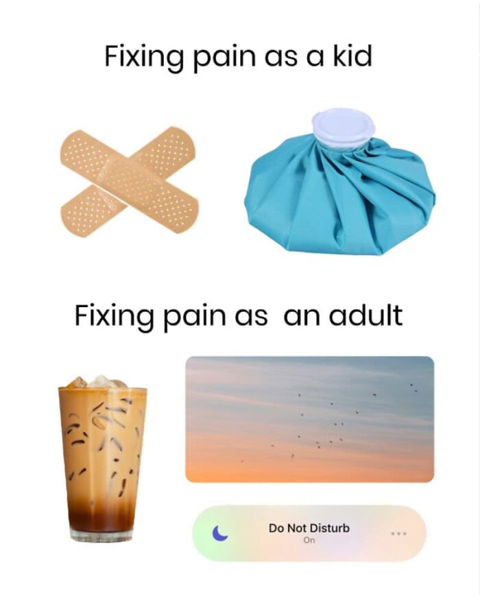 Adulting Is a Mess: 74 Memes That Nail the Struggle