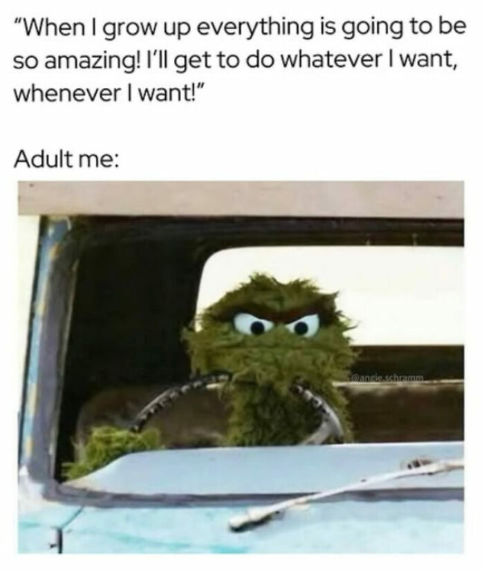 Adulting Is a Mess: 74 Memes That Nail the Struggle