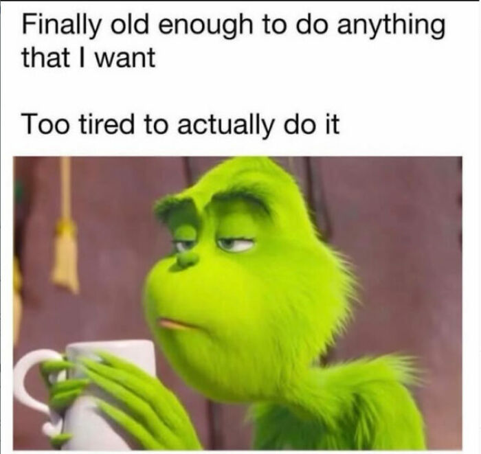 Adulting Is a Mess: 74 Memes That Nail the Struggle