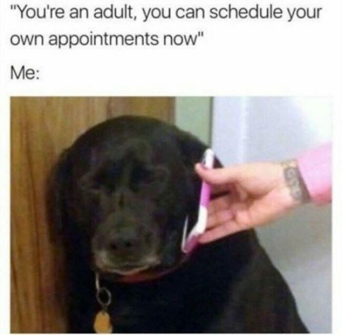 Adulting Is a Mess: 74 Memes That Nail the Struggle