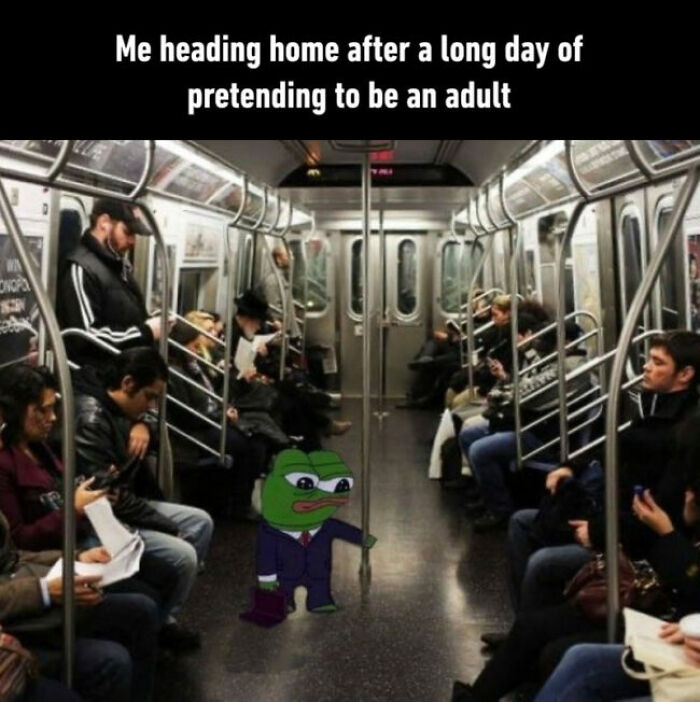 Adulting Is a Mess: 74 Memes That Nail the Struggle