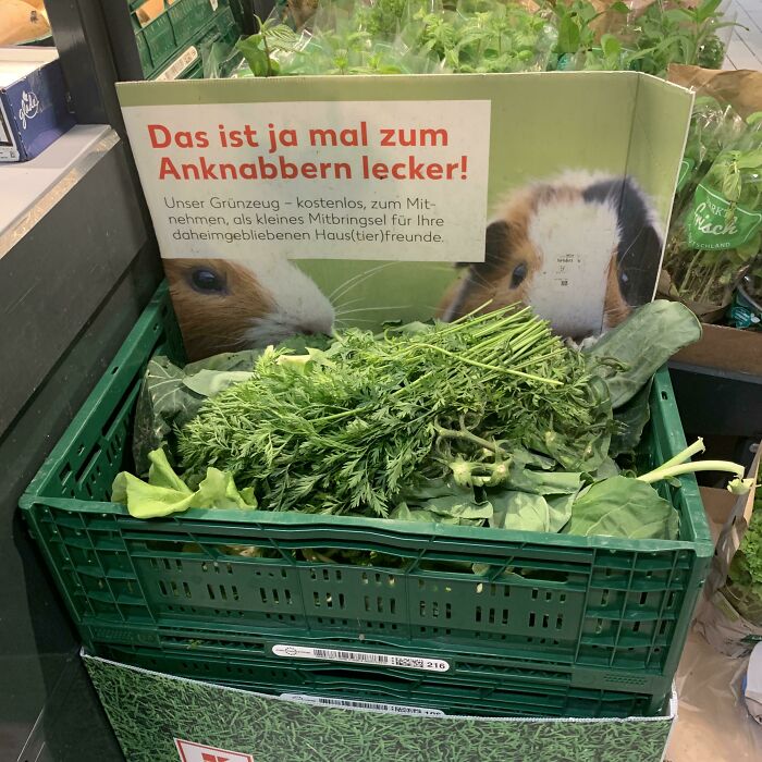 Free Veggie Leaves for Pets? Supermarket Thoughtfulness Level: Expert