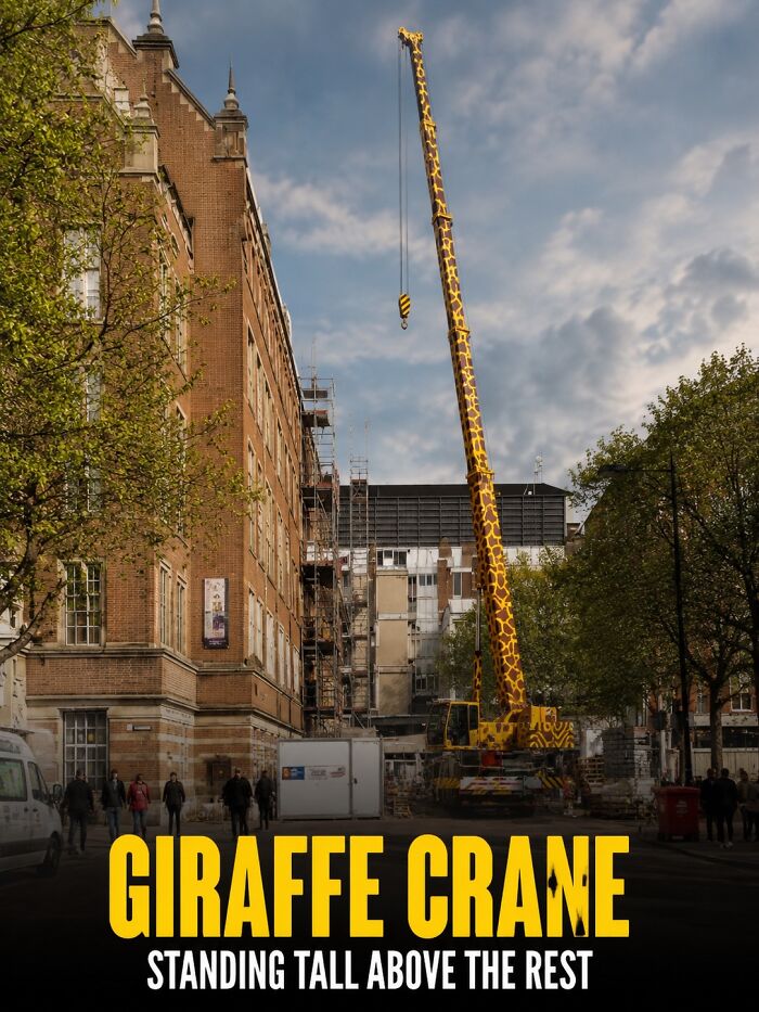 Giraffe Crane That Stands Tall and Proud