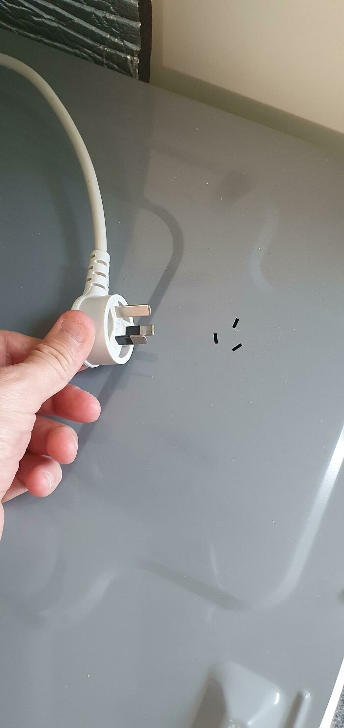 Dryer with Plug Holder So the Cord Doesn’t Flail About
