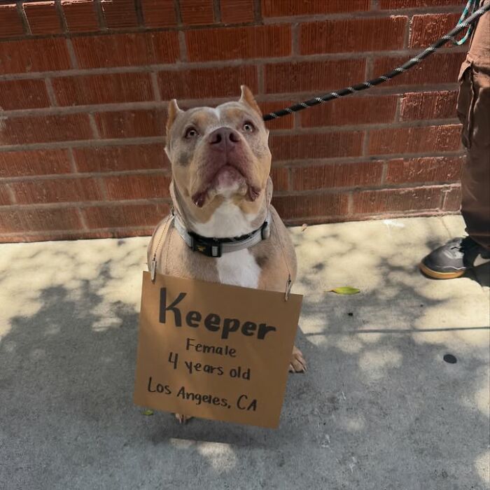 Keeper