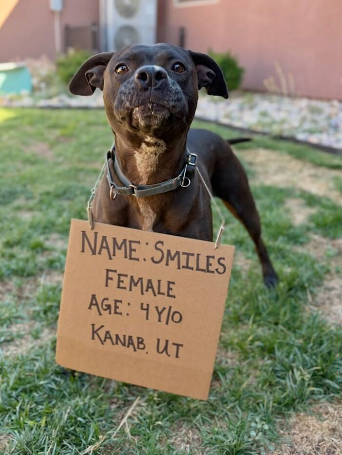 Smiles