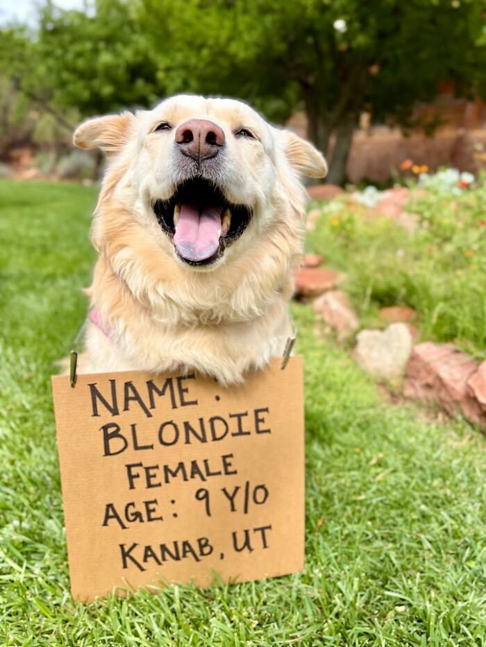 Blondie