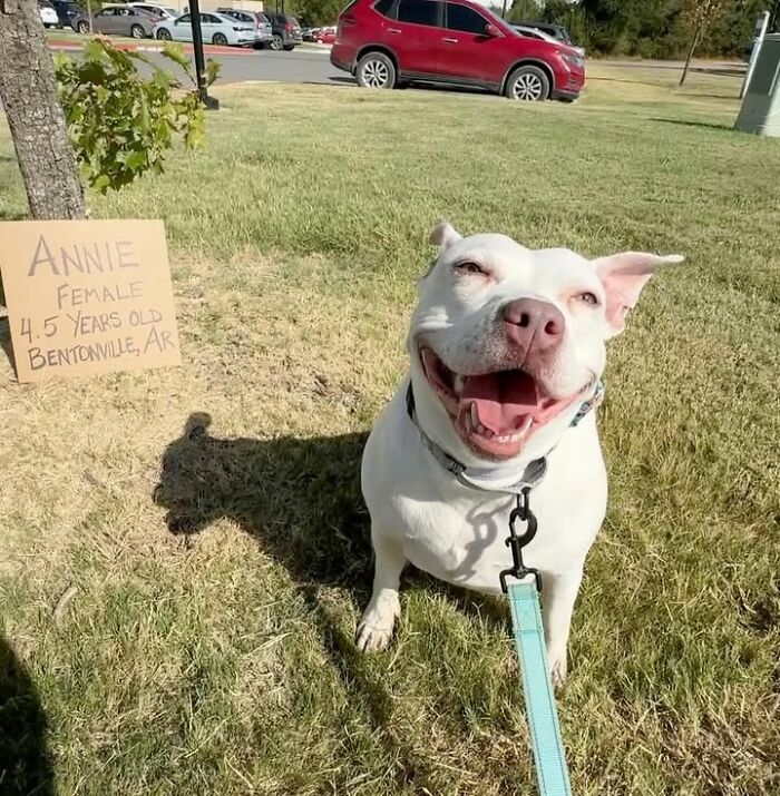 Annie