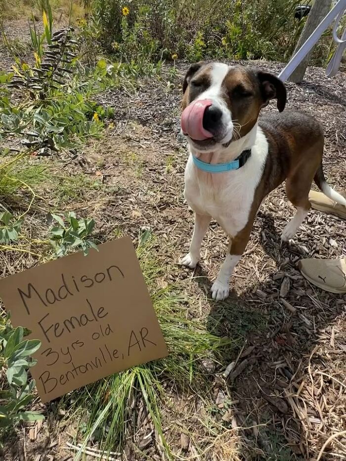 Madison