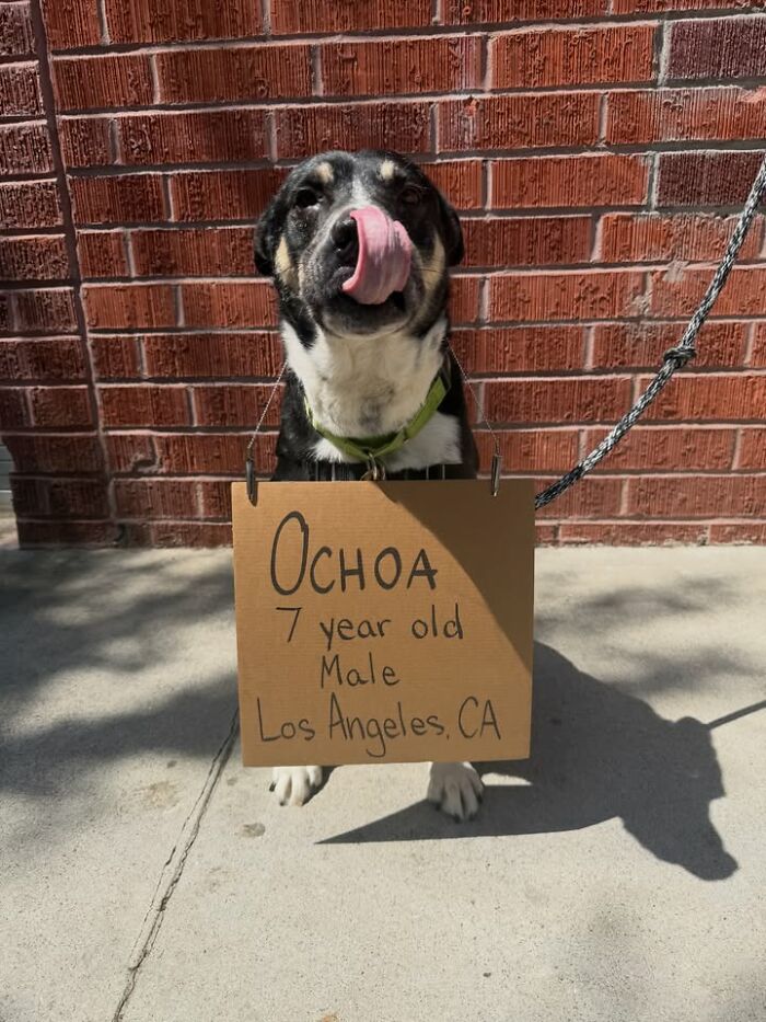 Ochoa
