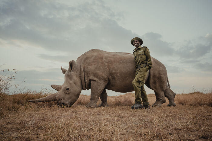 Meet The Last 2 Northern White Rhinos and Their Super Dedicated Squad