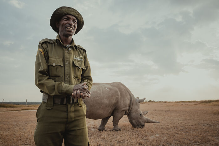 Meet The Last 2 Northern White Rhinos and Their Super Dedicated Squad