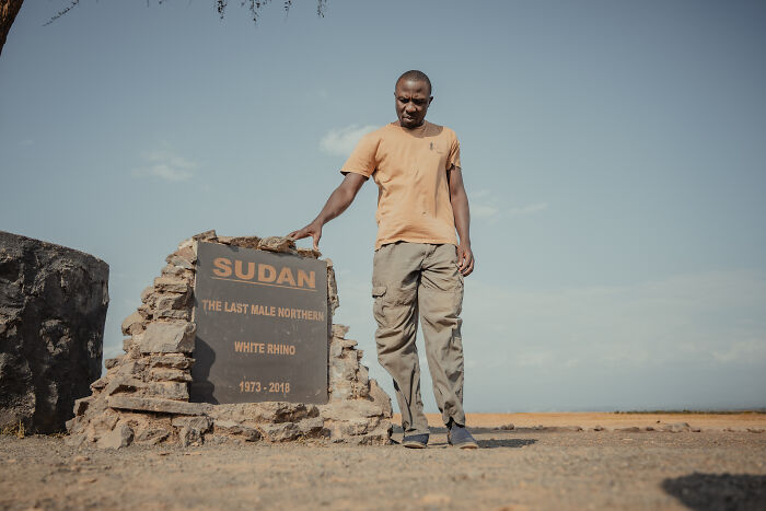 Meet The Last 2 Northern White Rhinos and Their Super Dedicated Squad
